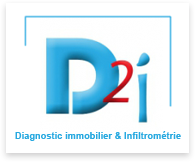 Logo D2i - Philippe Schoemaeker